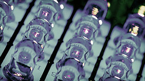 全自动发码的在线ddos网页端