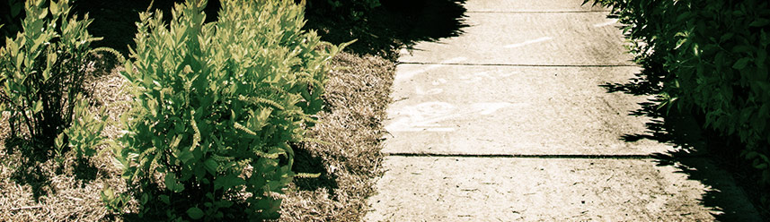 免费ddos压力测试平台